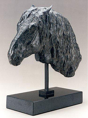 head of a percheron