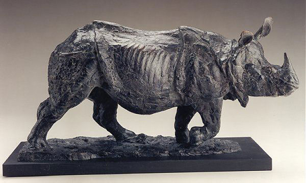 Carlson - Indian Rhino